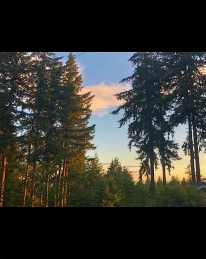 Photos are from pinterest #fypシ゚viral #movies #nature #slideshow #music