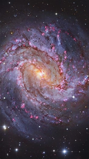 M 83 Southern Pinwheel Galaxy #space #astrophysics #universe