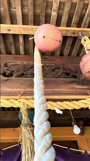 20260710白根ふれあいの樹林②白根神社
