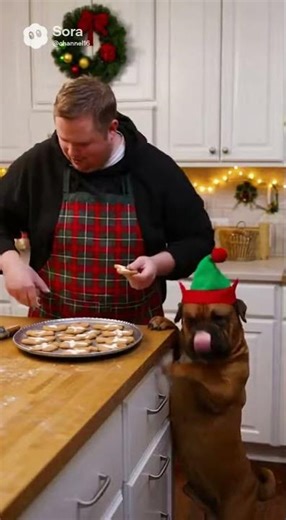 Hilarious Epic Christmas Fails #lol #epicfails #fails #funny #nostalgia #hilariousfails