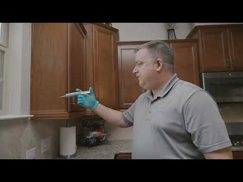 Maxforce® Fleet™ Ant Bait Gel - Surgical Precision Control