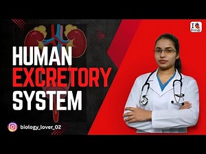 📘 Life Processes – Part 4 | Excretion | Biology Explained