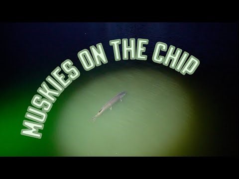Thorne Bros | September Chippewa Flowage Muskies w/ Ty Sennett and Luke Ronnestrand