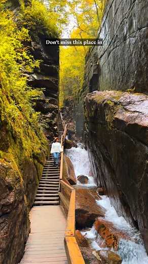 🍁Flume Gorge:Must visit in New England⤵️⁠ ⁠ The Flume is a natural granite gorge extending 800 feet at the base of Mount Liberty in Franconia Notch State Park, New Hampshire, USA. A 2-mile self guided nature walk through a spectacular natural chasm.⁠ ⁠ While this hike will be good even in summer, it’s extra magical during Fall! ⁠You’ll find covered bridges, amazing waterfalls, a scenic natural pool, and gorgeous mountain views.🍁🌅 ⁠ ⁠ ⁠ ⁠Have you ever been to Flume Gorge in New Hampshire?⁠ ⁠ ⁠