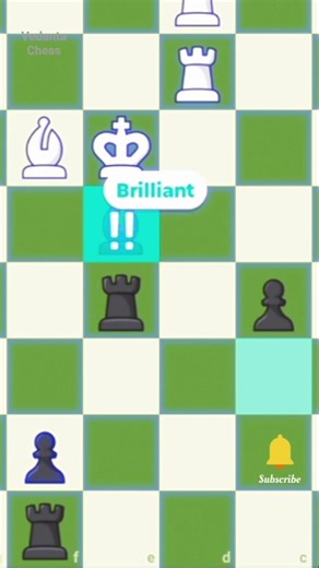 Brilliant Duo 🤍💫 | Chess Game ft.‪@VedantaChess‬ ✓ #brilliantmove #chessgame #viral #trending