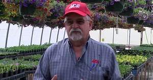 Tips for spring planting