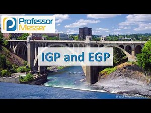 IGP and EGP - CompTIA Network+ N10-007 - 1.3