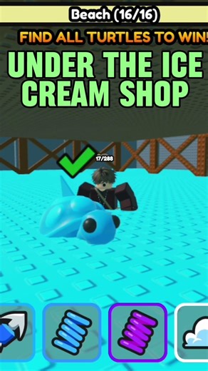 Finding All Of The Turtles On The Beach #helpful #interesting #turtle #roblox