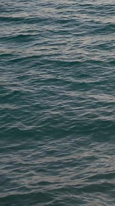 agnès b. x K-Way® ... the exclusive capsule collection! The two French fashion brands are joining forces with the launch of their first collaboration: three iconic windbreakers for adults and one for children! 兩大法國時尚品牌agnès b. 和 K-Way® 首次攜手合作，以agnès b.永恆時尚設計與 K-Way®標誌性機能風衣完美結合，打造三款全新成人和一款兒童風衣，非常適合戶外及親子活動。 #agnesb #agnesbxKWAY #exclusivecollection | agnès b.