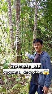Triangle old coconut treasure sign decoding😱😱 #YamashitaTreasure #decoding #highlights2025 | Wenlies Tibi