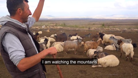 Traditional Azerbaijani Goat Recipe: Baked Underground to Perfection