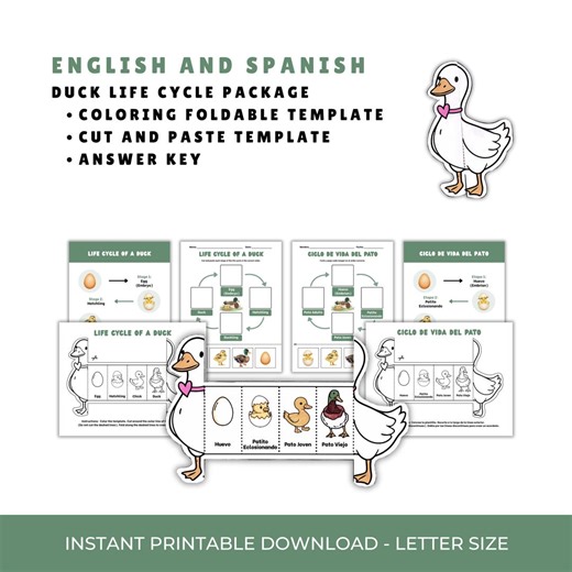 Duck Life Cycle Bilingual Worksheet Bundle | English & Spanish | Printable Science Activity | Digital Download | Homeschool Crafts - Etsy