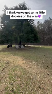 Farm fun, Hank is living up to his name. He’s a wild one 🤣 | Our Life Adventures