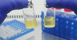 Two Vials Liquids Which E Coli Stock Footage Video (100% Royalty-free) 3765918329 | Shutterstock