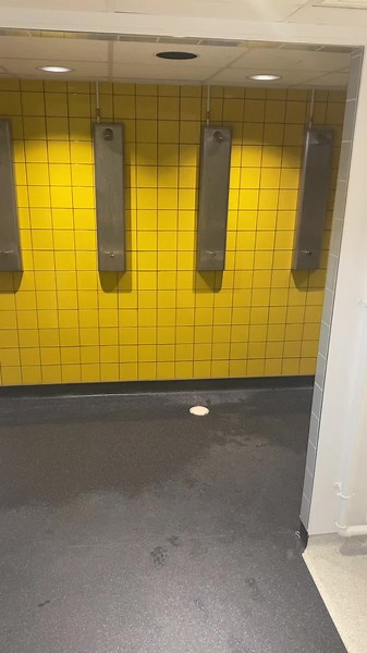 Exploring a Brightly Designed Public Restroom