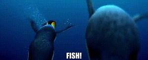 Fish!