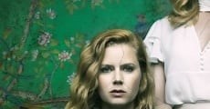 SHARP OBJECTS - Serie en Español