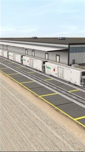 CSX tropicana train passes (trs19)