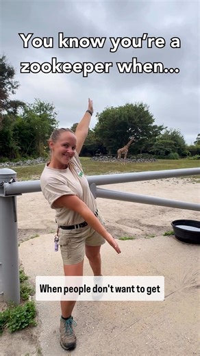 You know you're a zoo keeper when... you create a fun video for #NationalZooKeeperWeek! We cannot thank our Africa Team and Rover Keepers enough for everything they do to care for our largest animals. Thank you Emily S., Christine D., Tiffany M., Carl R., Toni S., Matt S., Jason S., Christine C., Brie F., Kelsie V., and James W. for your hard work! 🧡 | The Virginia Zoo