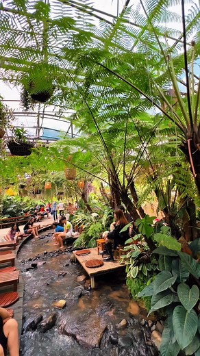 1.6M views · 13K reactions | Chiếc cà phê này ngồi chill buổi trưa hợp lý ghê ha  #latnoitravel #dalatreviewtravel | Đà Lạt ReView Travel | Facebook