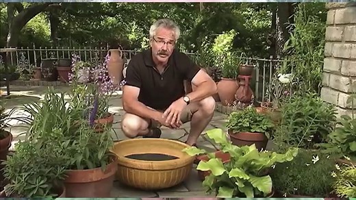 Paul James | HGTV Gardening by the Yard | Growing a Greener World®