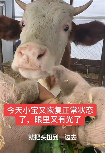 今天小宝又恢复正常状态了，眼里又有光了