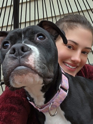 Good morning 🙏 #goodmorning #pittiesoftiktok #puppiesonly #chaosgremlin