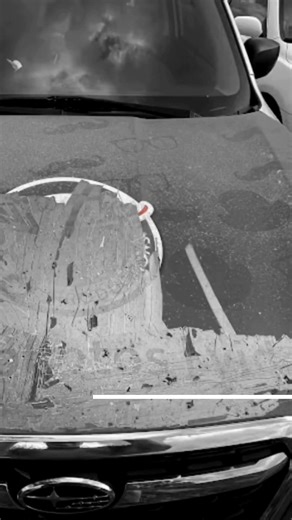 4.4K views | Let us bring your ride back to life. Credit: Maaco (917 Mercy Drive, Orlando, FL) | Maaco Auto Body Shop & Painting USA | Facebook