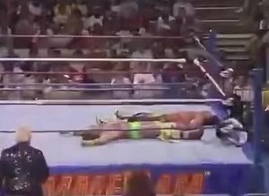 5.1K views · 83 reactions | On August 28, 1989 WWF’s 2nd annual...