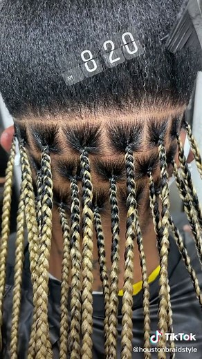 Intricate Braided Hairstyle Tutorial in Professional Salon