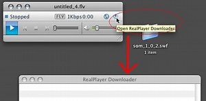 Realplayer video downloader