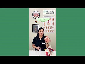 What is Rectal Balloon Training?
