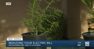 SRP program provides free trees to be more energy-efficient