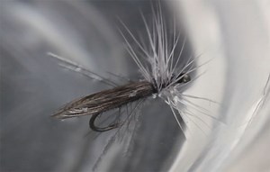 Video: How to Tie the Little Black Stonefly - Orvis News