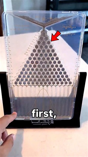 This Machine Secretly Explains the Stock Market