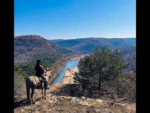 Zeb: A mule you can do it all!