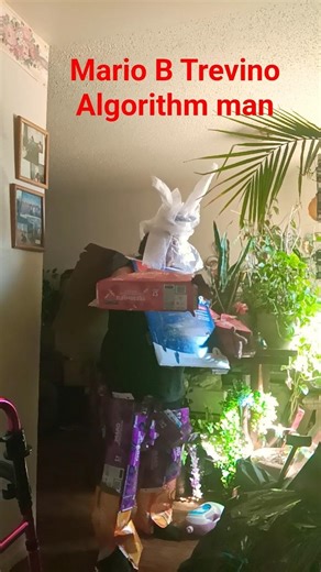 ALGORITHM MAN codeing PYTHON ESTABLISHED CALCULATE VARRIBLES BINARY CODE