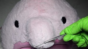 Blobfish World's Ugliest Animal Plush Soft Toy - Runforthecube Toy Review