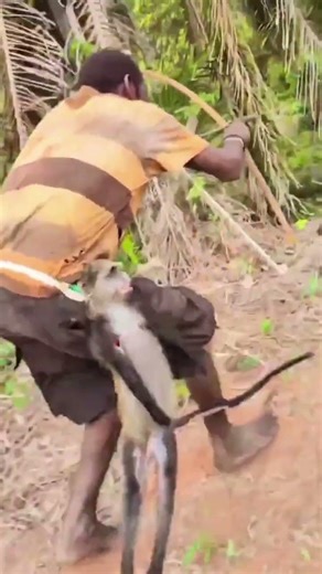 Hunting the Fastest Bird! African Tribe vs Giant Ostrich | Bush Awareness!