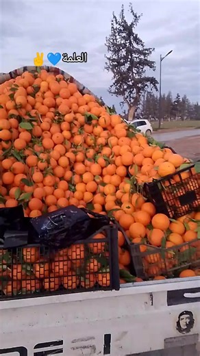 Vidéos de ⛔x_issa_yamaha_💙🧸 (@x______________x79) avec son original - achref Balotelli