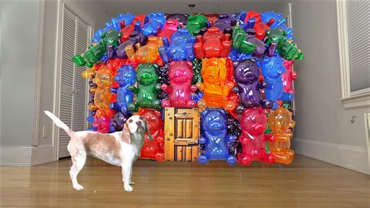 Maymo discovers epic gummy bear house surprise at home