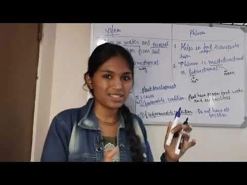 Life process| lec 6| Cross section of leaf| Janhvi Salunke |10th CBSC