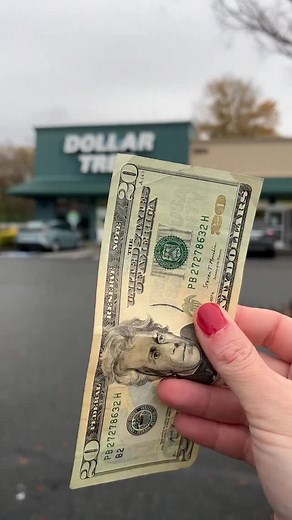 35K views · 2.8K reactions | $20 @dollartree Thanksgiving dinner for...