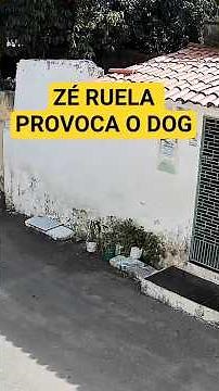 ZÉ RUELA ATRÁS DA PORTA VERDE
