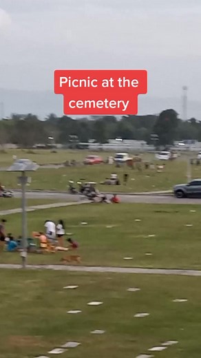 Cemetery Explorer on TikTok
