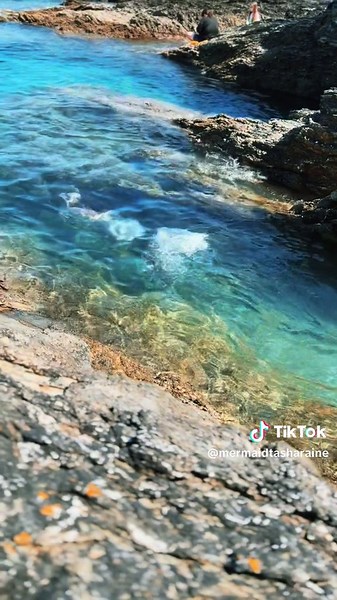 Splishing and splashing #mermaid #mermaidtail #mermaidsoftiktok #ukmermaids #mermaidcore #merfolk #cornwall