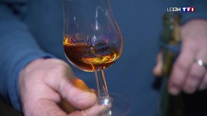 Trésors de Charente (1/4) : à la découverte des secrets de fabrication du cognac | TF1 Info