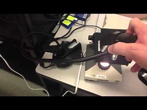 Setting up a physiology lab