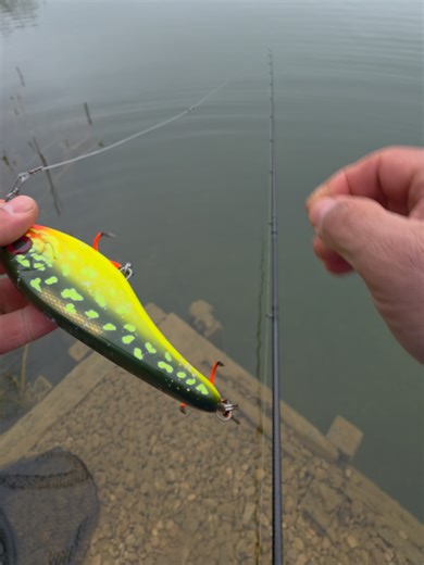 Pike Fishing Techniques Using Jerkbaits