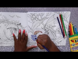 Color Pencils ASMR Coloring
